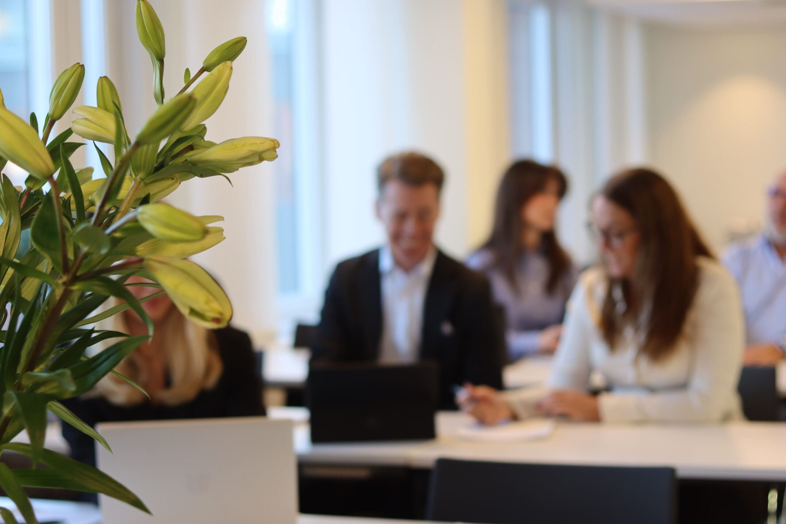 Kvalitetssäkra företagets ekonomiska rapporter