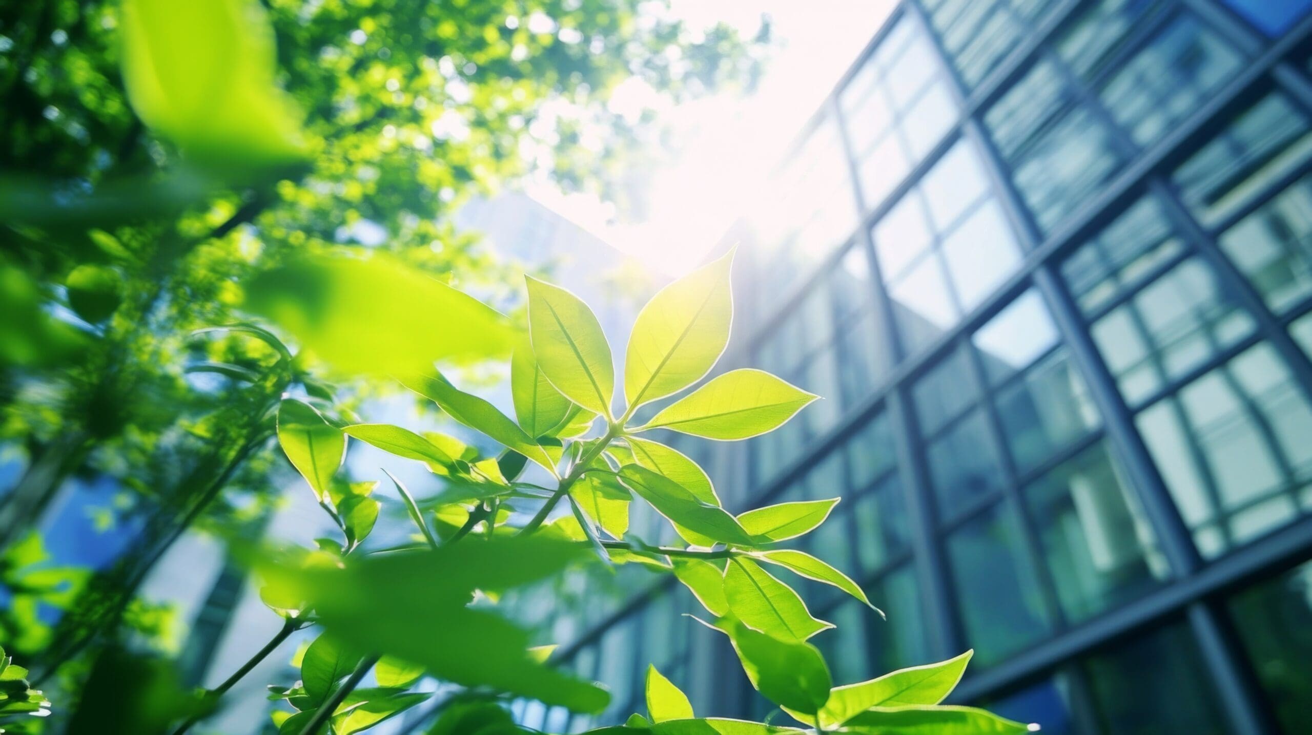 CSRD efter omnibuspaketet – vad gäller nu och hur bör företag agera?